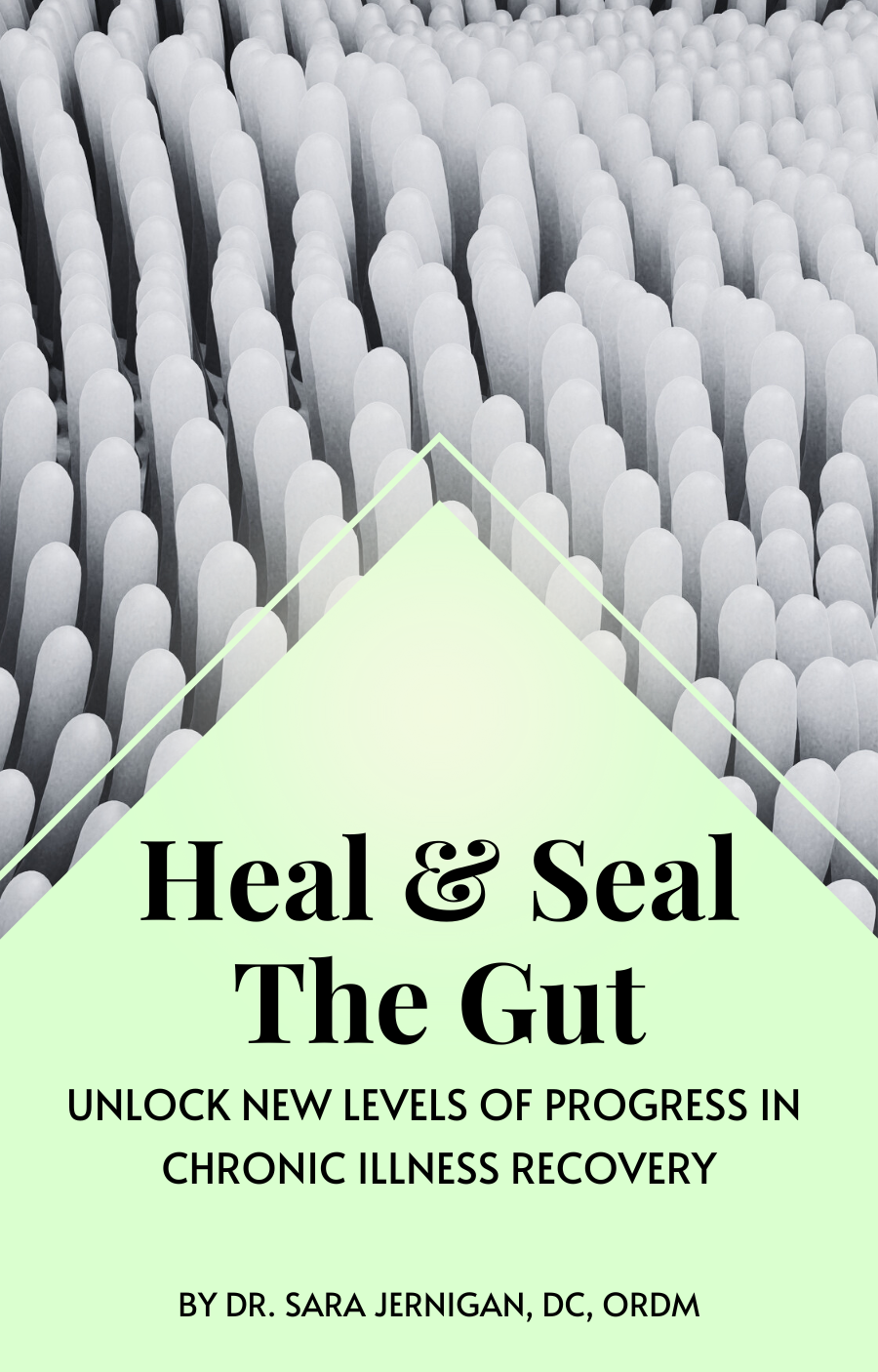 Heal & Seal the Gut E-Book